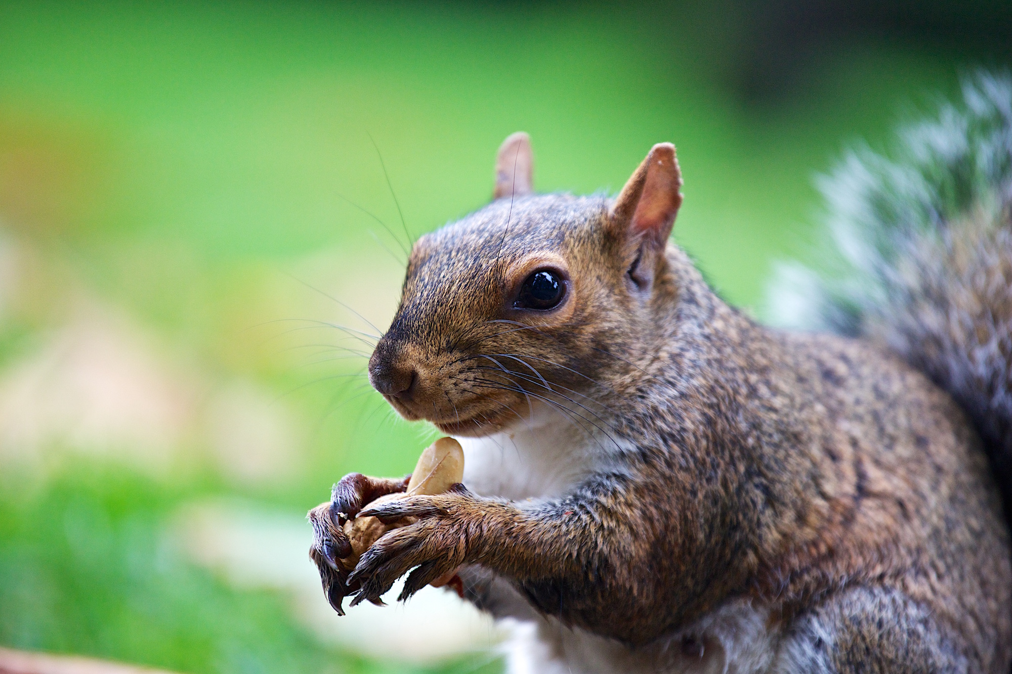 Original image for AI Art Creation