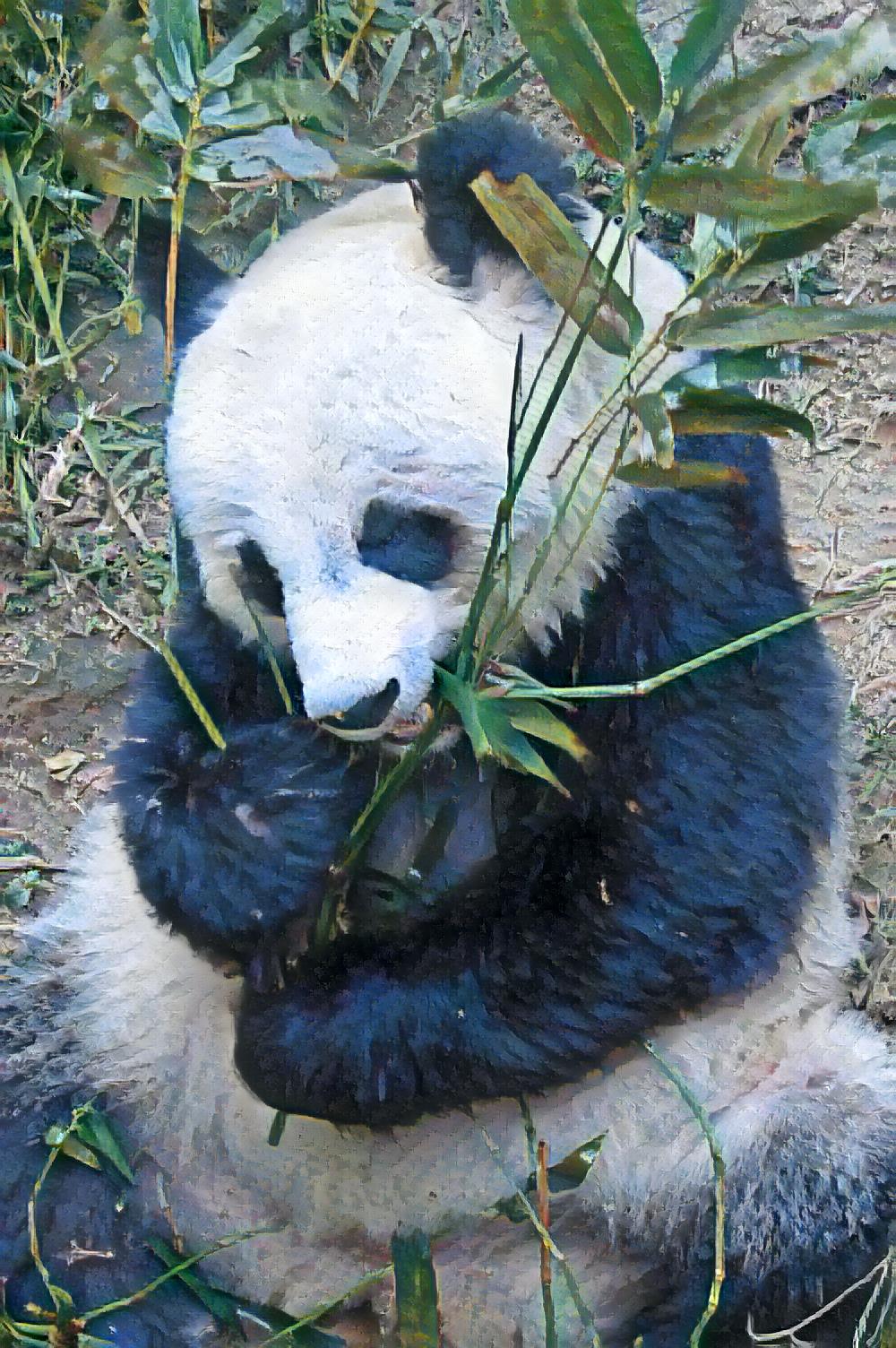 Original image for AI Art Creation