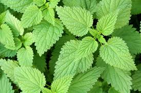 原创 - AI Art Creation