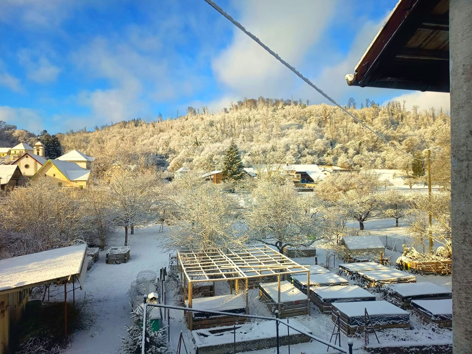 Original image for AI Art Creation