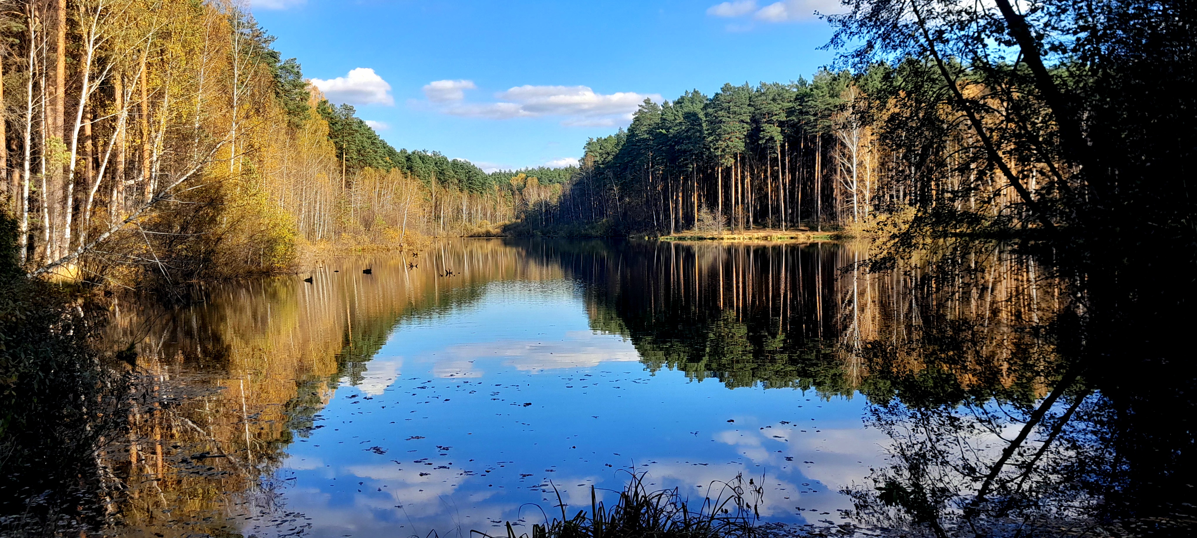 原创 - AI Art Creation