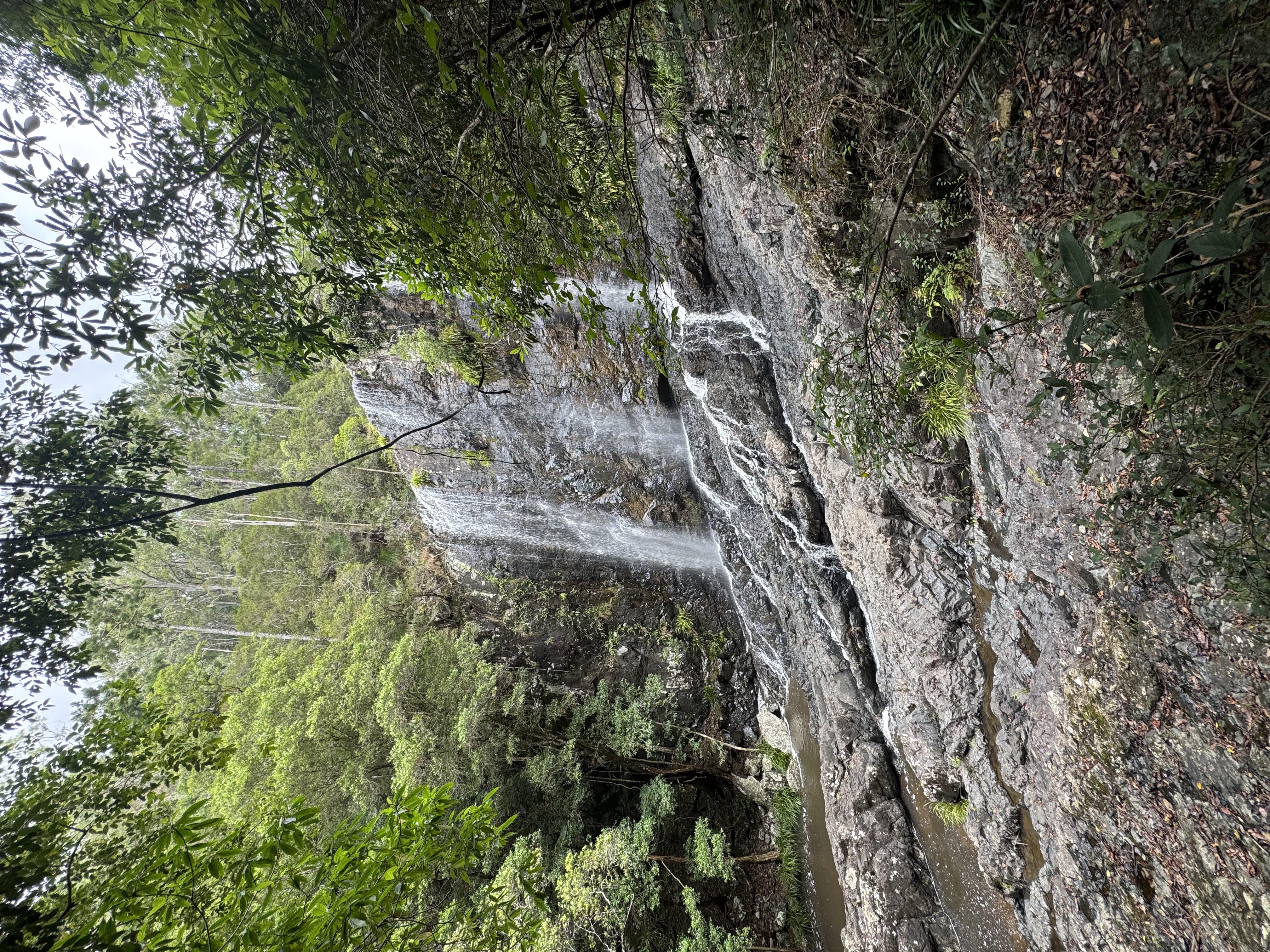 原创 - AI Art Creation